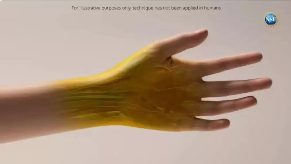 光学生物传感器：从指尖密码到智能电子皮肤的进化革命-第7张图片-正海烽科技 - 领先的只能推广行业，智能制造解决方案提供商