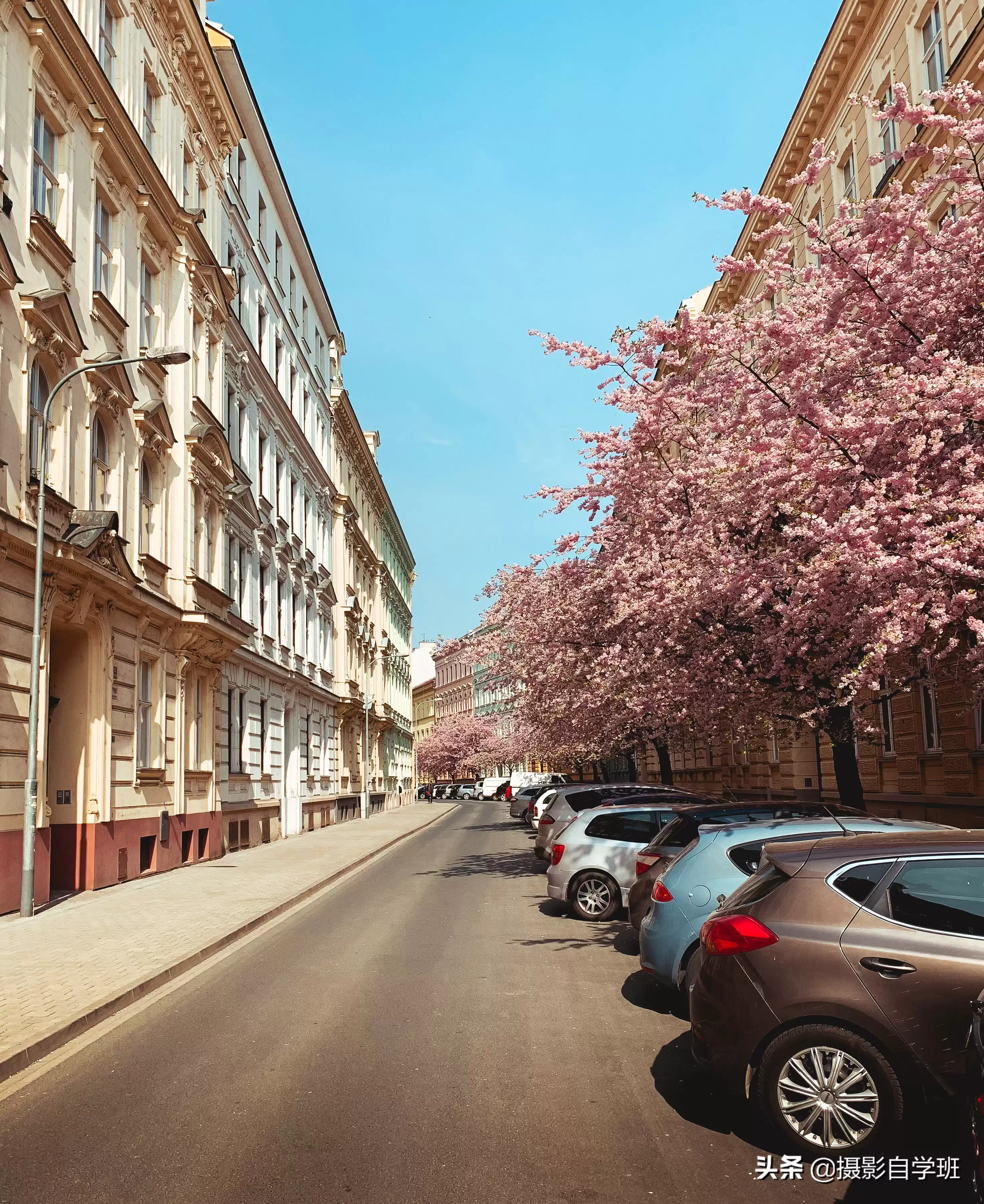 普通场景拍不出层次感?这3字秘诀用20张实拍图解,小白也能秒出大片! 普通场景拍不出层次感?这3字秘诀用20张实拍图解,小白也能秒出大片!