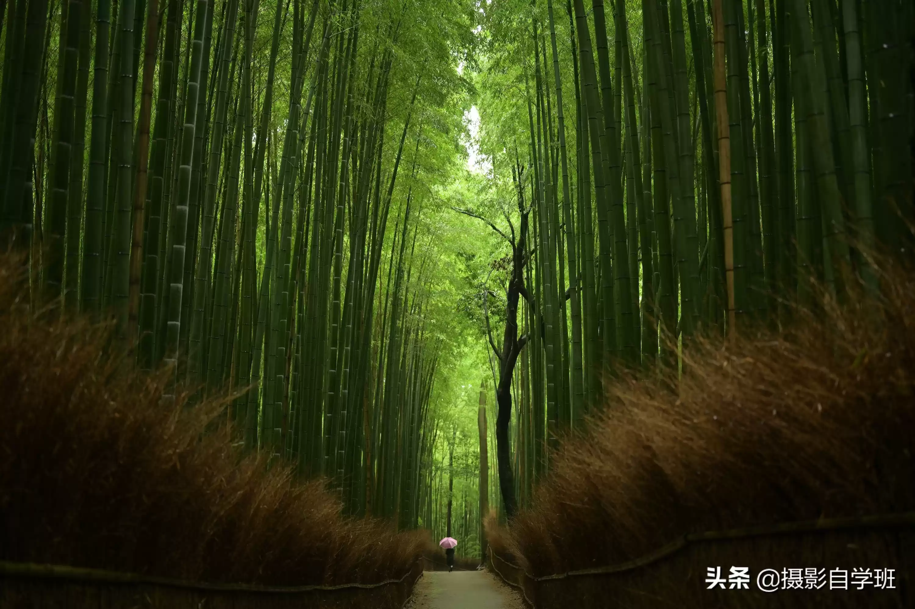 普通场景拍不出层次感?这3字秘诀用20张实拍图解,小白也能秒出大片! 普通场景拍不出层次感?这3字秘诀用20张实拍图解,小白也能秒出大片!