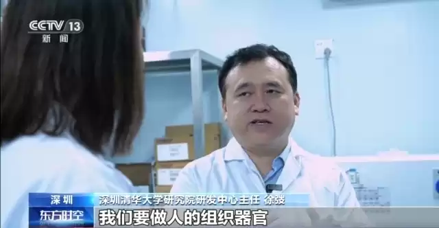 生命再造革命：3D生物打印如何从实验室走向你的身体？