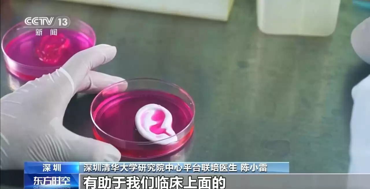 生命再造革命：3D生物打印如何从实验室走向你的身体？
