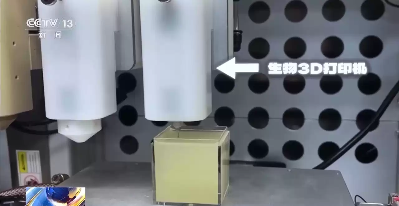 生命再造革命：3D生物打印如何从实验室走向你的身体？