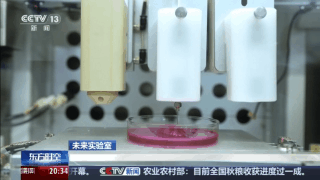 生命再造革命：3D生物打印如何从实验室走向你的身体？