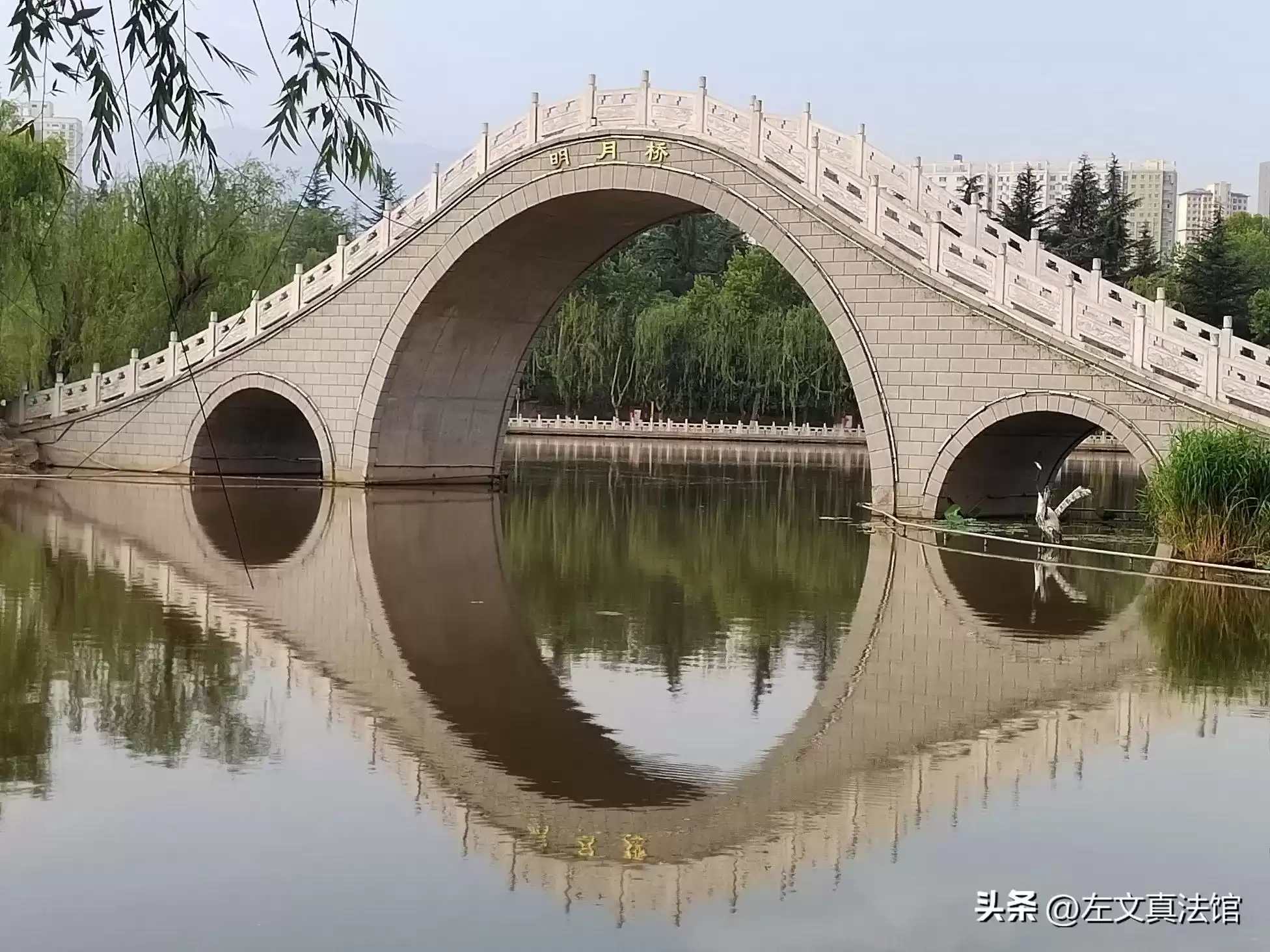 短视频证据保全全攻略：法律武器与技术实战，让你的证据“铁证如山”