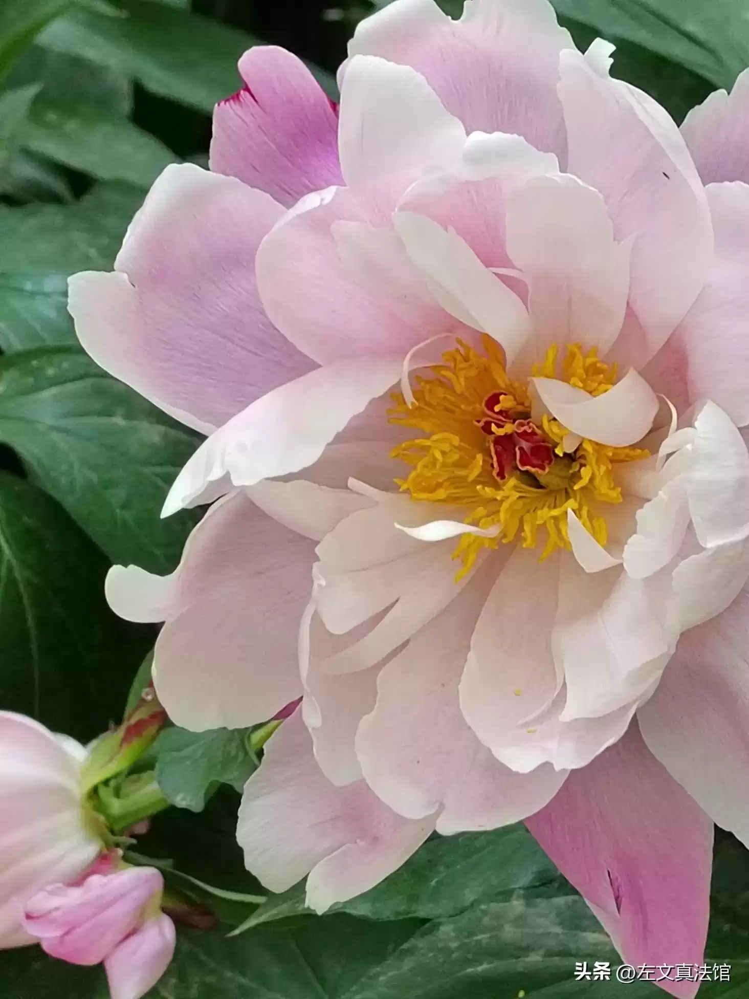 短视频证据保全全攻略：法律武器与技术实战，让你的证据“铁证如山”