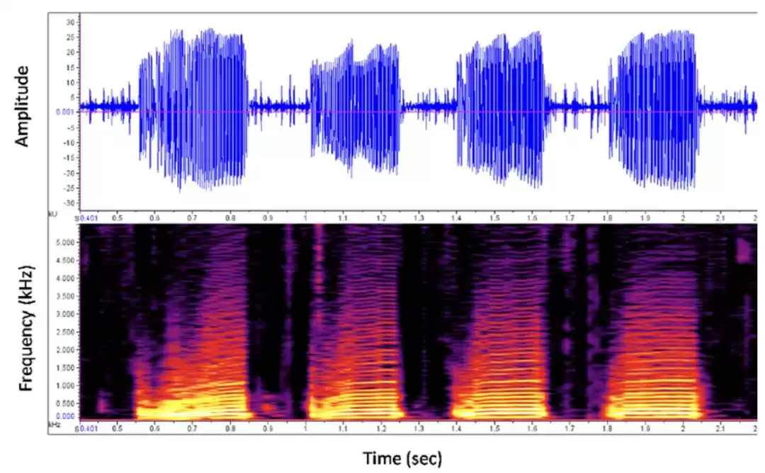 秒速识歌！听歌识曲App的算法黑科技：音乐指纹全