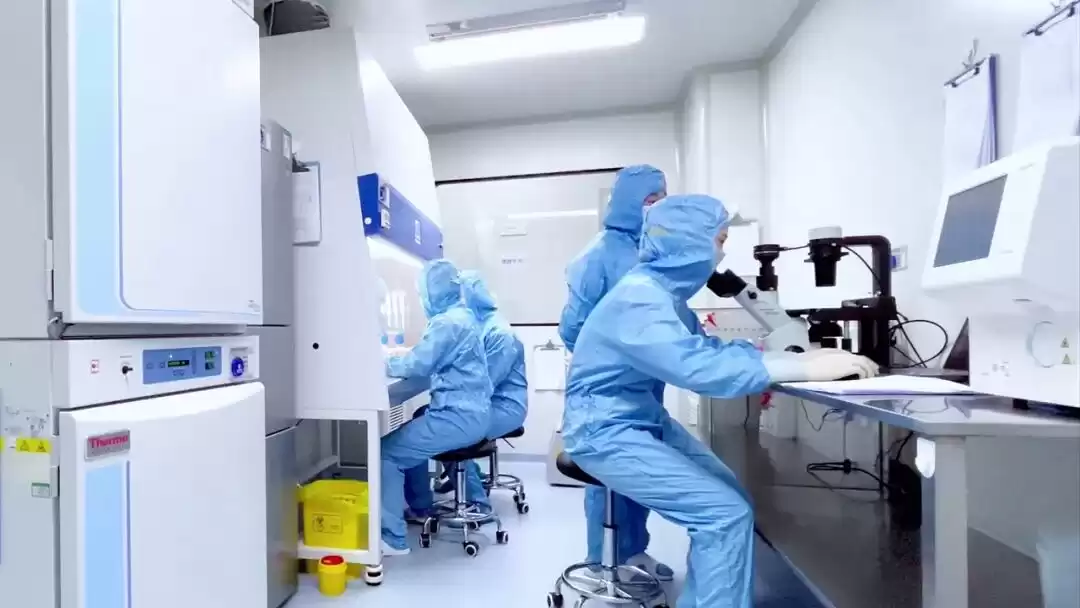 CGT产业新纪元：海南、广东、上海激战正酣，青岛如何破局夺魁？