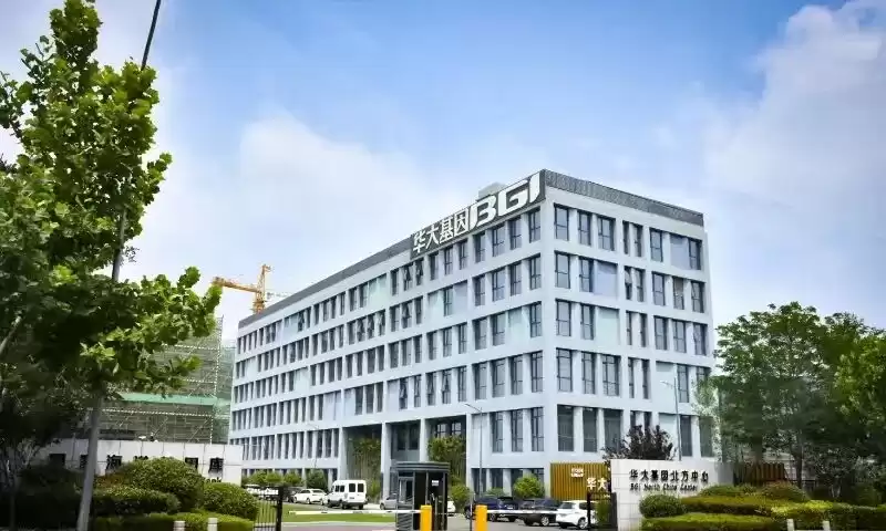 CGT产业新纪元：海南、广东、上海激战正酣，青岛如何破局夺魁？