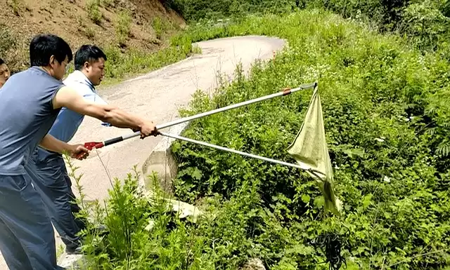 编织袋装蛇不咬人？消防员实战技巧大揭秘！