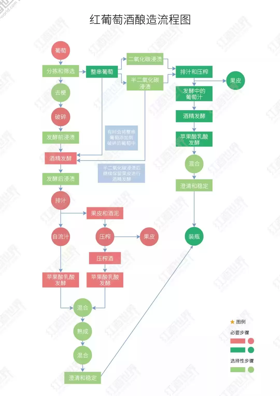 红葡萄酒酿造：从果实到琼浆的蜕变之旅