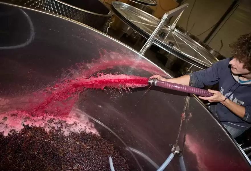 红葡萄酒酿造：从果实到琼浆的蜕变之旅