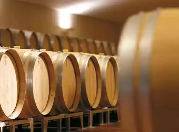 红葡萄酒酿造：从果实到琼浆的蜕变之旅