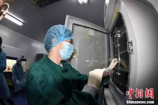 颠覆认知！中科院用尿液提取万能干细胞，医疗革命从此开始-第3张图片-正海烽科技 - 领先的只能推广行业，智能制造解决方案提供商