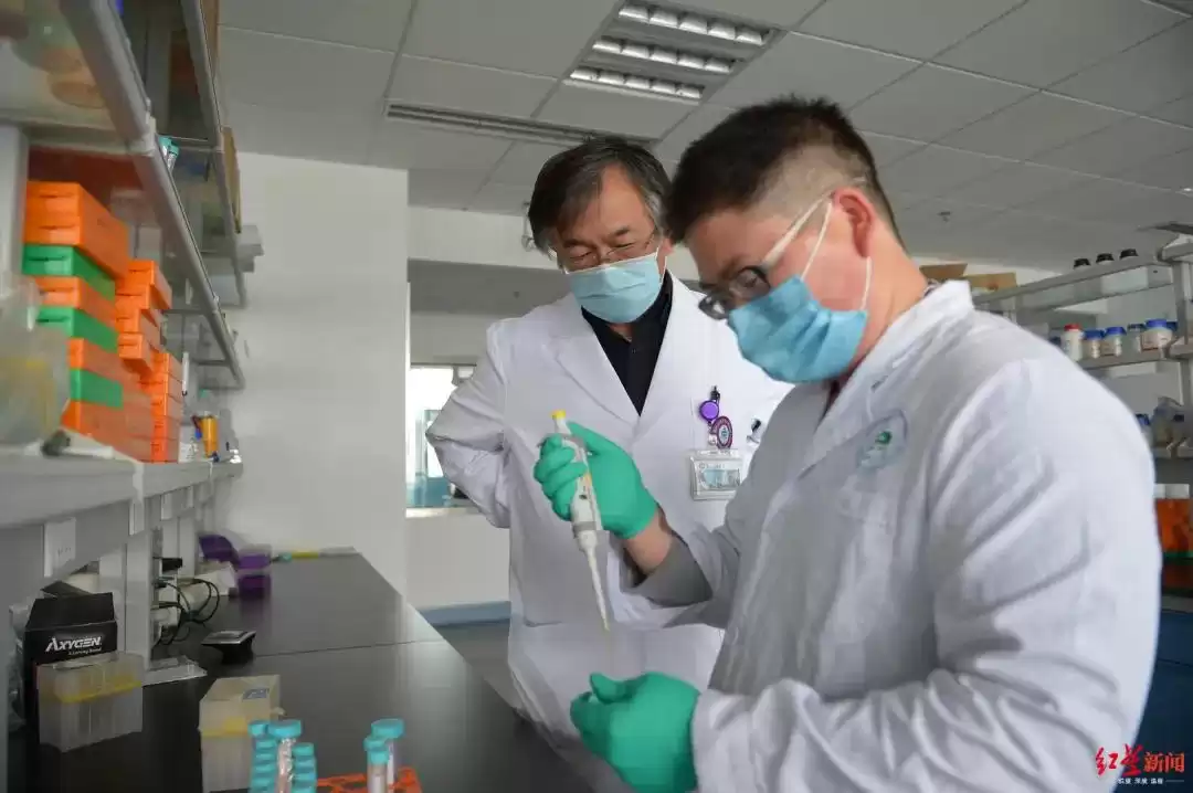 牙齿再生革命：掉了的恒牙竟能重新长出，华西实验室突破成功！