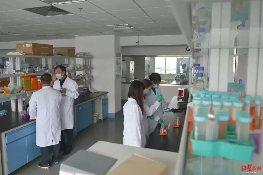 牙齿再生革命：掉了的恒牙竟能重新长出，华西实验室突破成功！