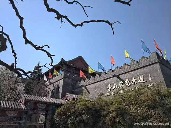 五摄颠覆影像！诺基亚9 PureView：PureView技术重塑手机摄影极限