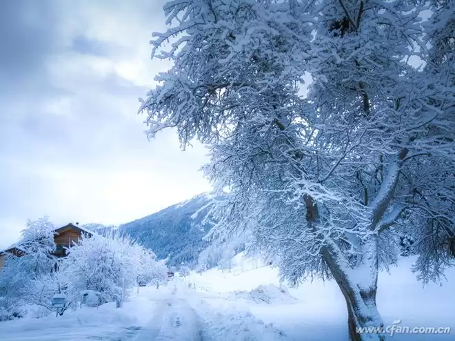 五摄颠覆影像！诺基亚9 PureView：PureView技术重塑手机摄影极限