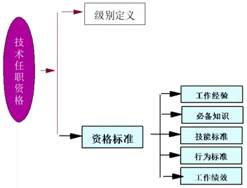 突破职业天花板！IPD咨询独家揭秘：QA技术任职资格标准全掌握