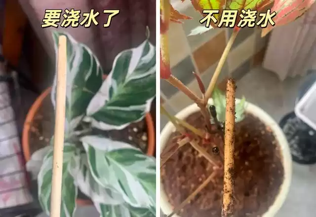 旧筷子竟是隐藏宝库？别扔！一招改造解决十大生活难题