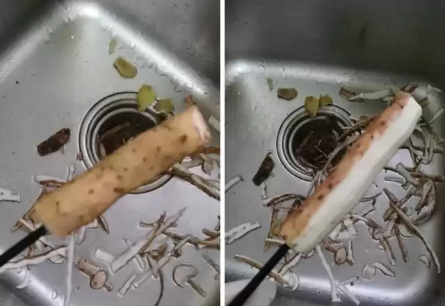 旧筷子竟是隐藏宝库？别扔！一招改造解决十大生活难题