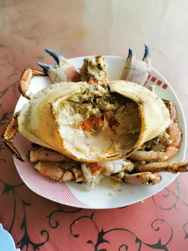 探寻斑节对虾高效养殖秘诀，让鬼虾成为你的致富宝贝-第1张图片-正海烽科技 - 领先的只能推广行业，智能制造解决方案提供商