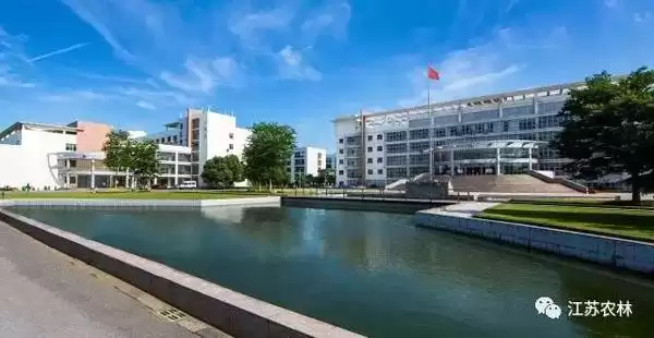 探寻江苏农林职业技术学院贴吧里的真实校园生活