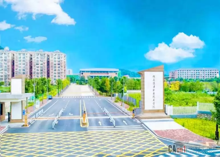 探寻湖南保险职业技术学院：保险教育的摇篮与未来金融精英的锻造地