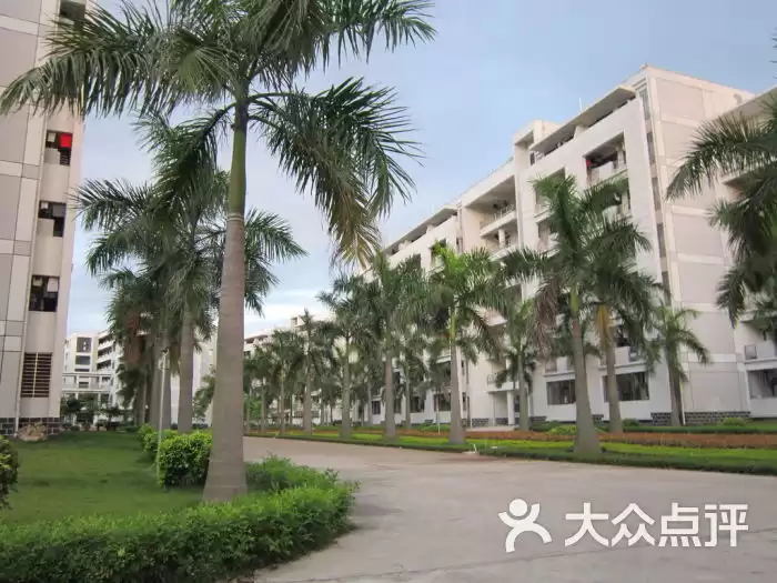 探寻龙江职校：家具之都的工匠摇篮