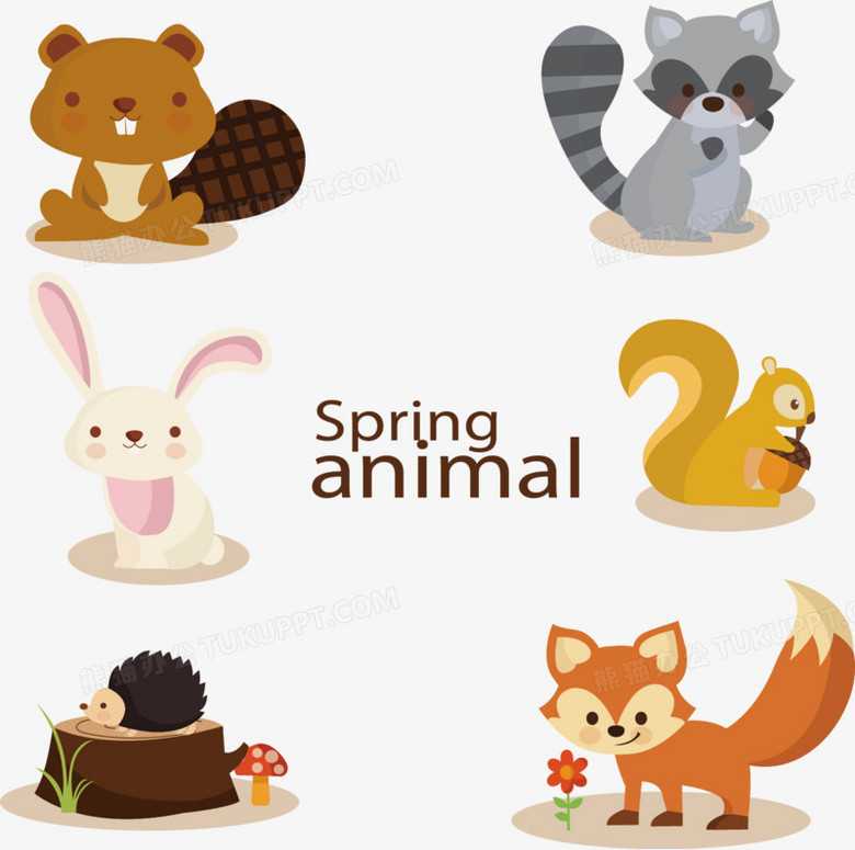 AI动物图鉴：你的随身自然导师