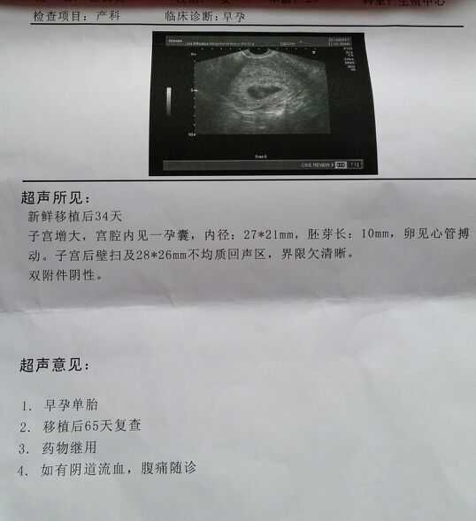 探秘B超医生技术：从新手到高手的实战心法