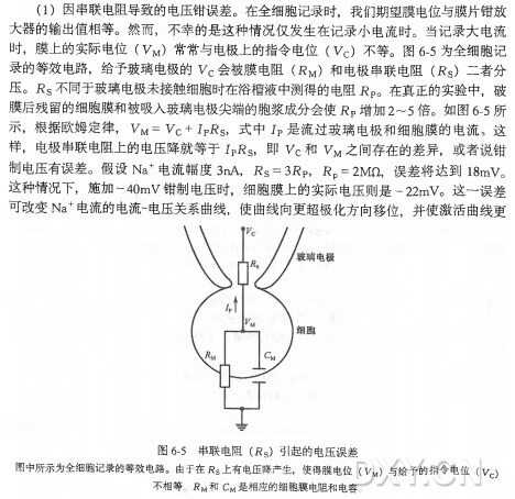 探秘微观生命电流：膜片钳技术如何打开细胞通讯的“黑匣子”-第1张图片-正海烽科技 - 领先的只能推广行业，智能制造解决方案提供商
