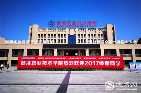 探秘杨凌那所技术学校：农家子弟的出路与前途