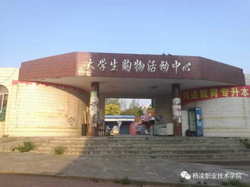 探秘杨凌那所技术学校：农家子弟的出路与前途