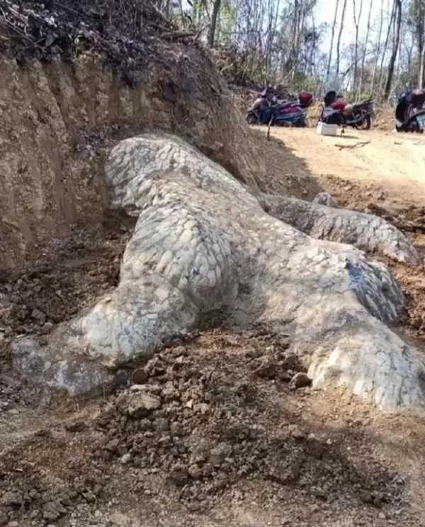 探秘湖南园林修剪技艺：石头造型与石楠修整的融合之道-第2张图片-正海烽科技 - 领先的只能推广行业，智能制造解决方案提供商