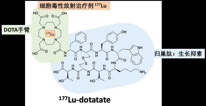 探秘生命密码：肽技术如何改变医药未来