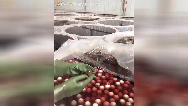 探秘皮蛋制作工艺:从古法到现代的技艺传承 探秘皮蛋制作工艺:从古法到现代的技艺传承