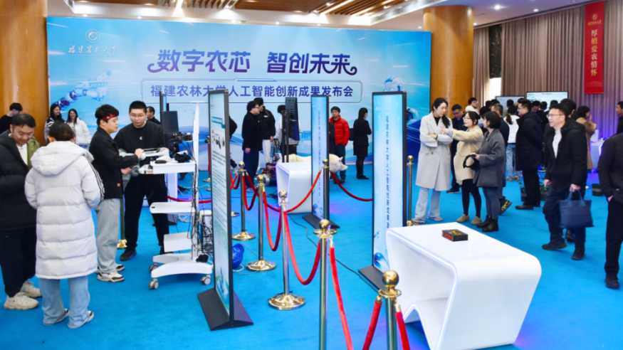 探秘福建AI学府：智慧摇篮如何塑造未来精英？