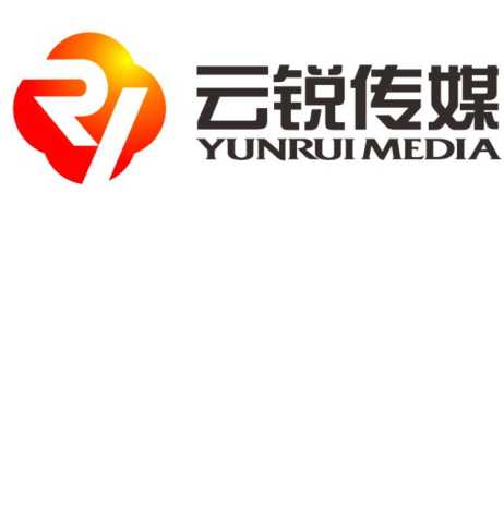 锐聘技术有限公司招聘：高薪岗位与真实文化全解析