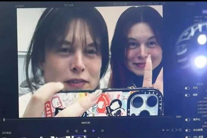 探索AI崽崽的多重宇宙：从虚拟分身到实体陪伴