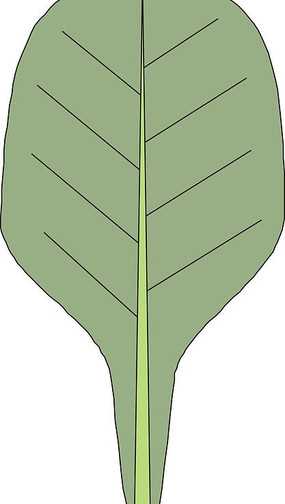 探索AI扇形圆点设计：从极简界面到智能创意的视觉革命