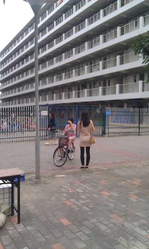 探索江门职业技术学院教务系统：功能、挑战与使用心得