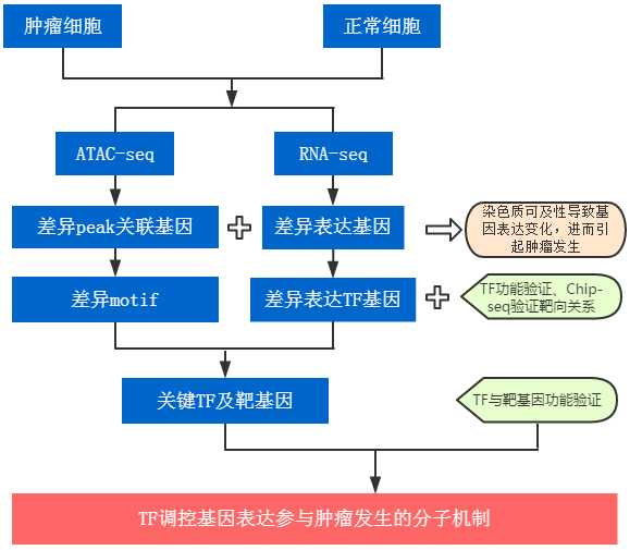 揪出癌细胞的神奇筛子：肿瘤富集技术到底有多牛？