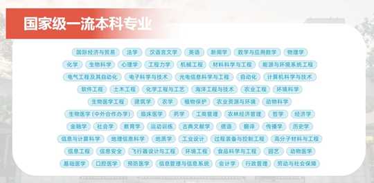 摸透门道不走弯路，大学AI报名全攻略在此