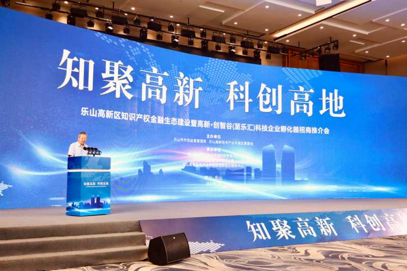 攀登科技高峰：中小型高新技术企业的成长之路与政策红利