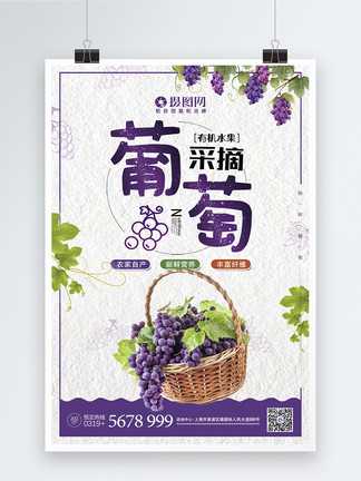 整得巴巴适适的AI葡萄海报，设计师再也不消熬夜爆肝喽！