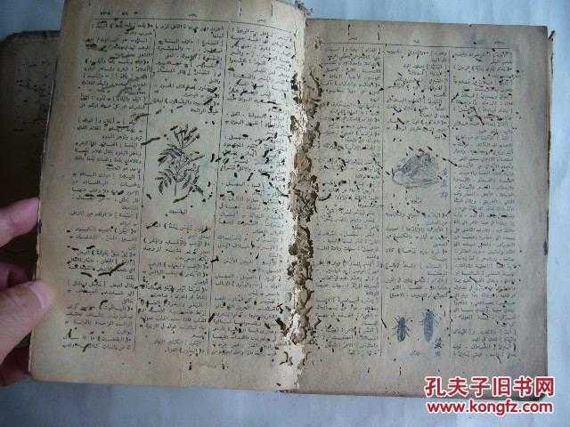 文技术典整理心法大公开