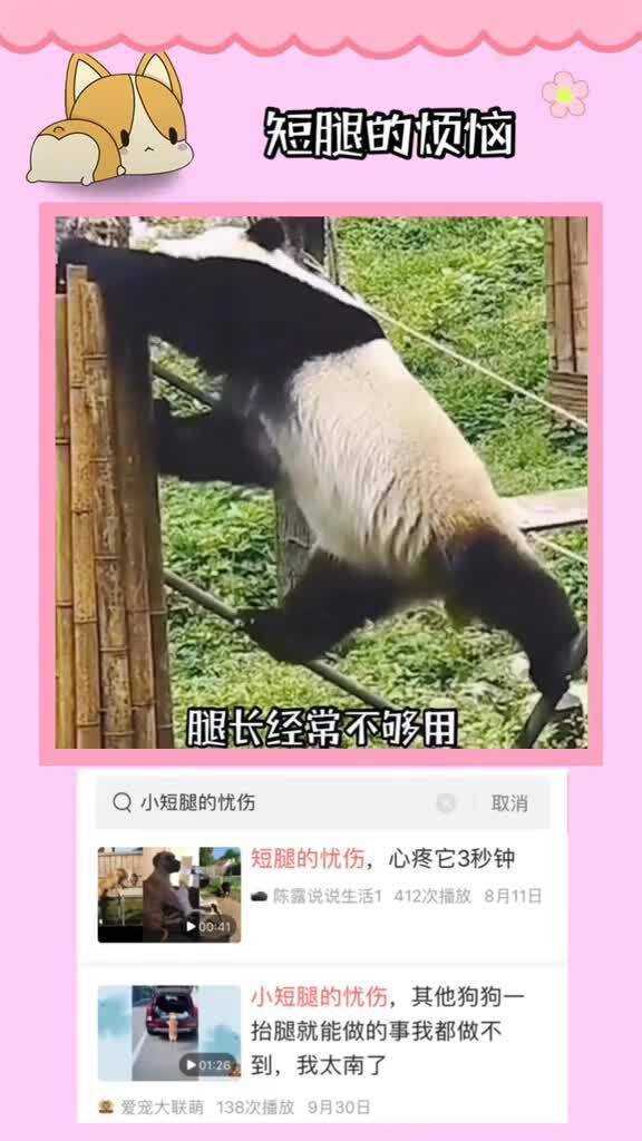 斑马AI到底有没有面对面教学，一位宝妈的真实选择