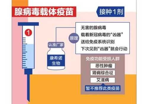 新冠疫苗技术路线全解析：从传统灭活到未来纳米颗粒，你的疫苗是如何保护你的？