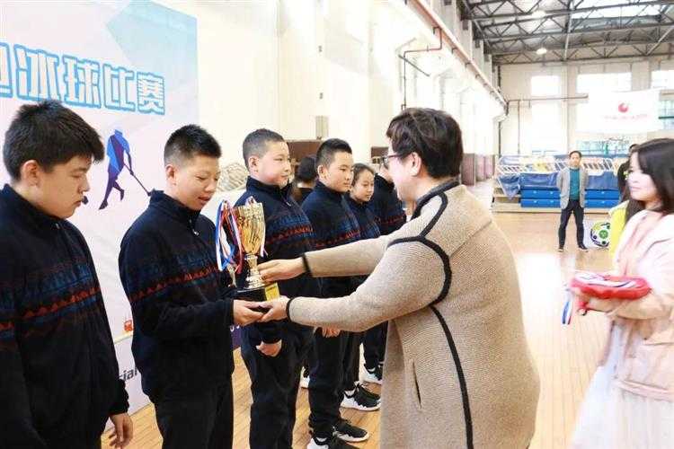 旱地冰球个人技术全攻略：让你从菜鸟变身场上焦点