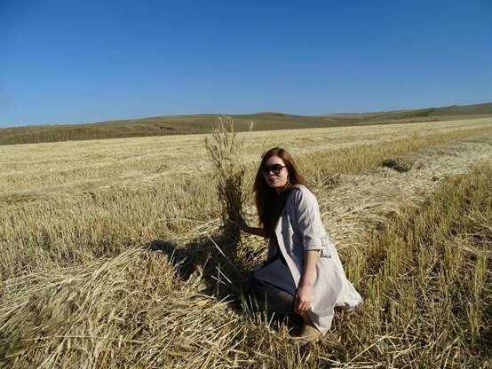 春小麦种植那些门道儿咱得好好唠唠 春小麦种植那些门道儿咱得好好唠唠